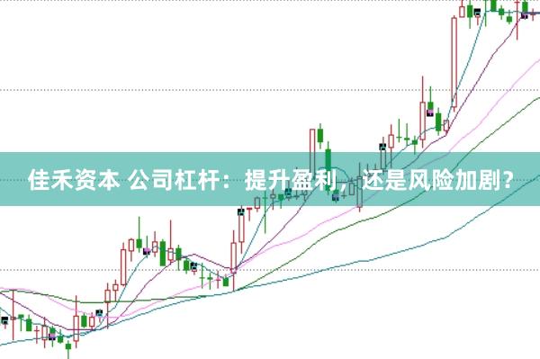 佳禾资本 公司杠杆：提升盈利，还是风险加剧？