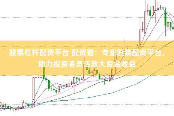 股票杠杆配资平台 配资猫：专业股票配资平台，助力投资者灵活放大资金收益