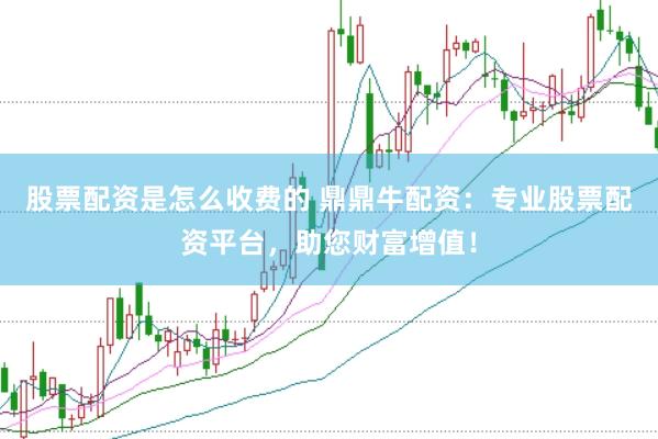 股票配资是怎么收费的 鼎鼎牛配资：专业股票配资平台，助您财富增值！