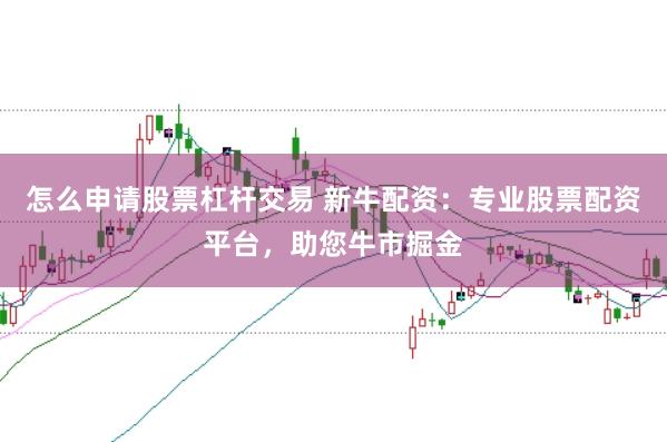 怎么申请股票杠杆交易 新牛配资：专业股票配资平台，助您牛市掘金