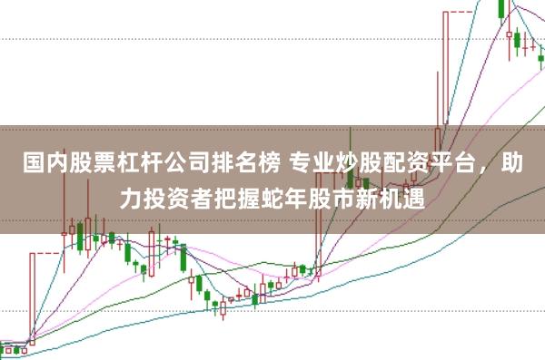 国内股票杠杆公司排名榜 专业炒股配资平台，助力投资者把握蛇年股市新机遇