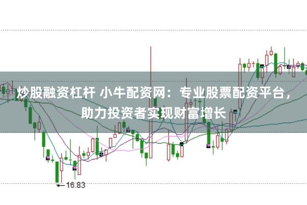 炒股融资杠杆 小牛配资网：专业股票配资平台，助力投资者实现财富增长