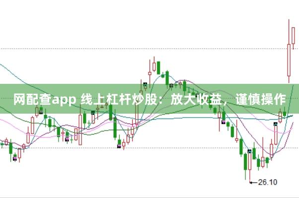 网配查app 线上杠杆炒股：放大收益，谨慎操作