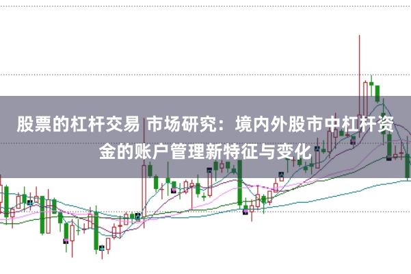 股票的杠杆交易 市场研究：境内外股市中杠杆资金的账户管理新特征与变化